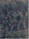 ktd1xmao.GIF