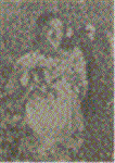 ol4qt310.GIF