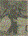 omzl5b2v.GIF