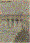 v4qscmer.GIF