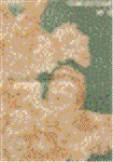 wtpd2t1e.GIF