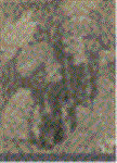 c5udx3ke.GIF