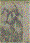 h5xm4ex5.GIF