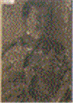 licreuw2.GIF