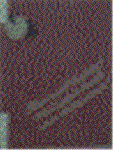 yincu4wm.GIF