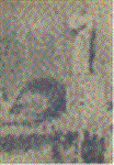 md0blbik.GIF