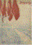 kkpkuuc2.GIF